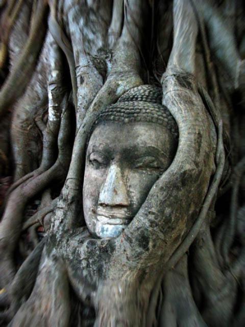 Somjai Place Ayutthaya Exterior foto